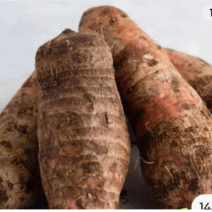Cocoyam Corm - Xanthosoma Sagittifolium 1KG X 1